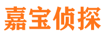 任县调查公司